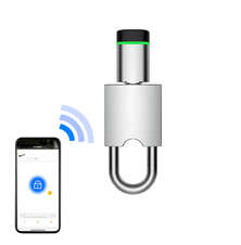 Elektroniczna kłódka e-Padlock EXLC-PL