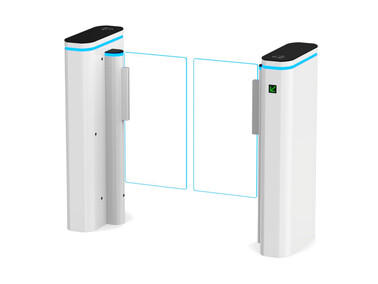 Bramka sensoryczna BS-DSQ60-RAL wano